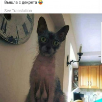 Марика