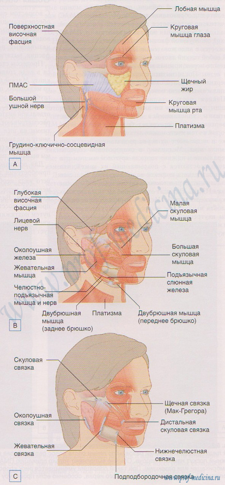 Фейслифтинг 