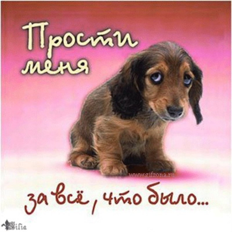 Нарисовать, открытки с надписями прости за все