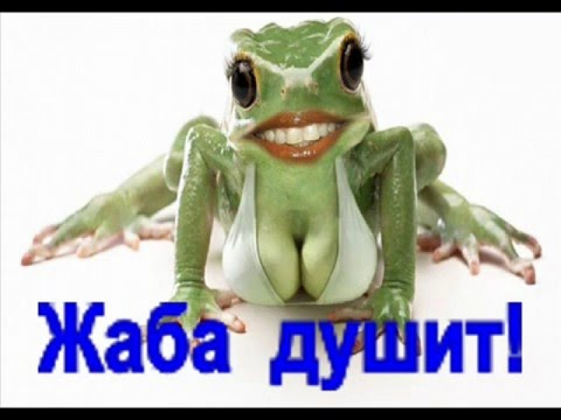 овощи кубе прикольные картинки жаба давит очередные